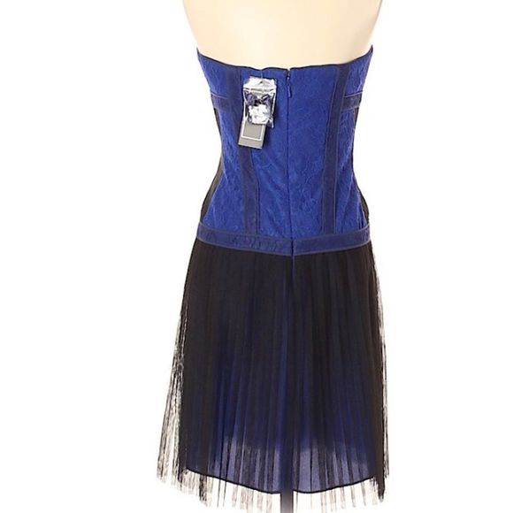 NWT $338 BCBGMAXAZRIA | Galia |  Strapless Fringe Hem Lace Corset Dress in Blue - Picture 10 of 16